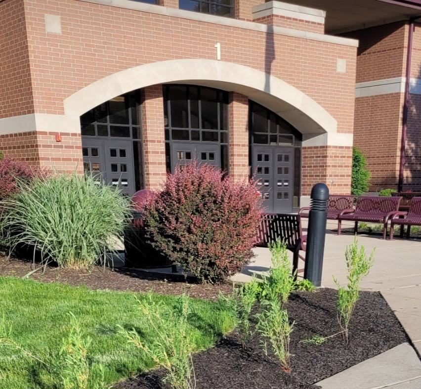 landscape outside of building