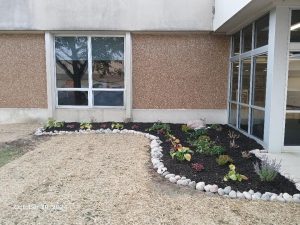 landscape with mulch, stones, and plants