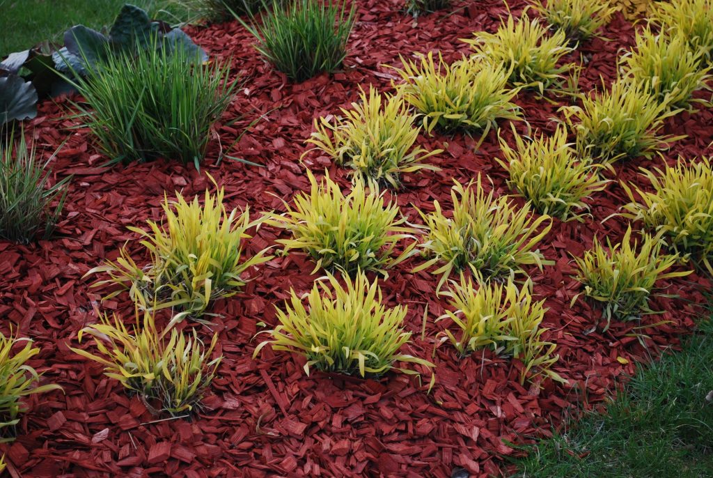 red mulch