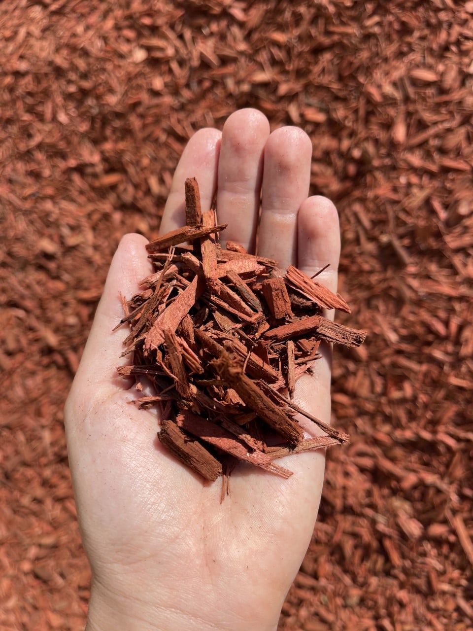 mulch in hand
