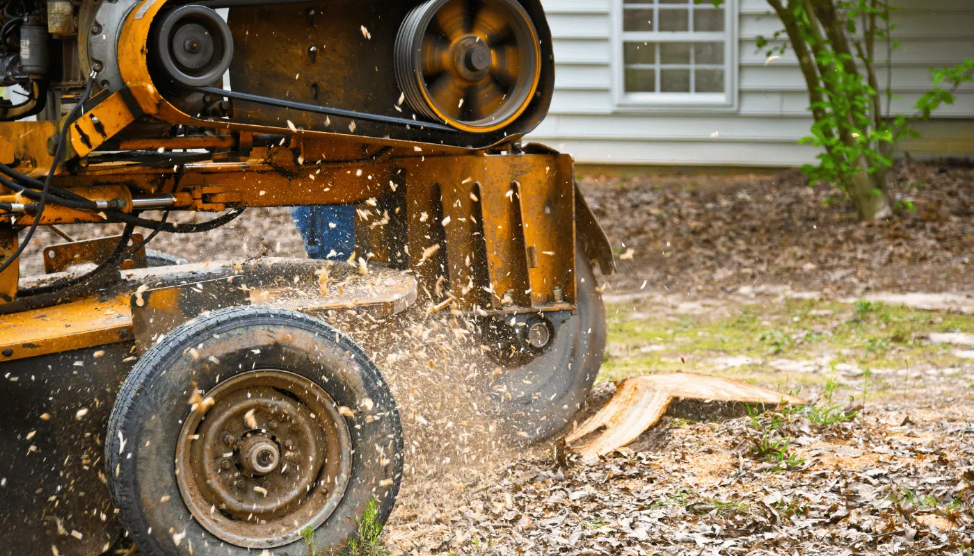 Stump Grinding in Valparaiso | David’s Lawn Care